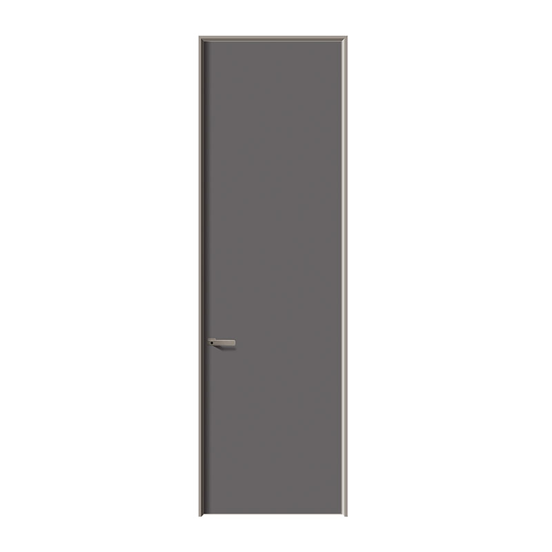 Frameless Gray cubiculo Door