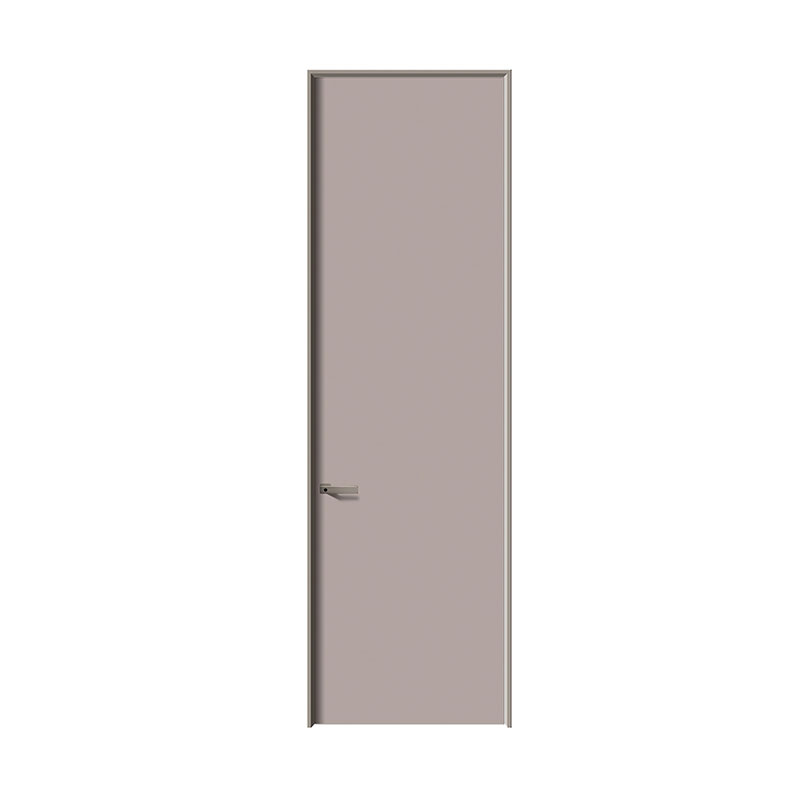 Frameless Modern cubiculo Door